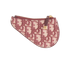 Christian Dior Saddle Coin Purse, back view